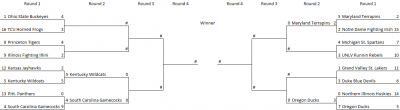 Conquer_Madness_Bracket_20190814.png